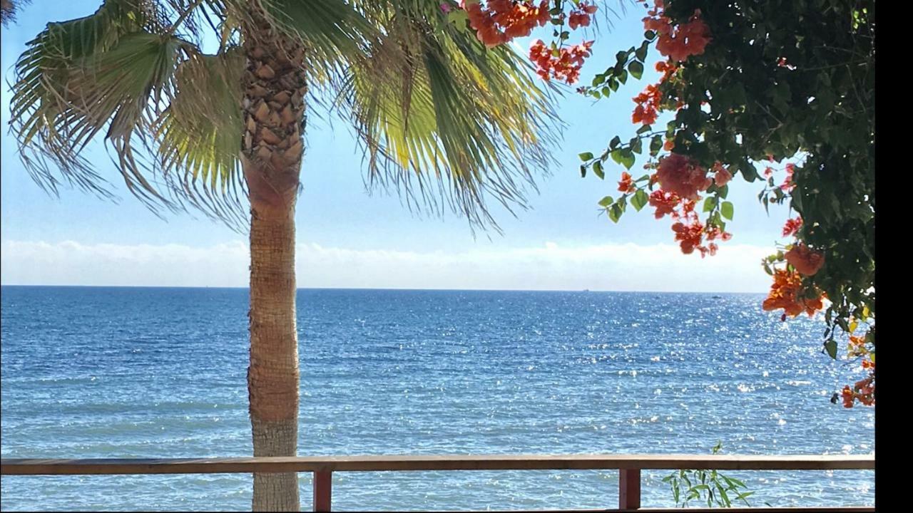 Mi Capricho A16 Beachfront Apartment Sitio de Calahonda Exterior photo
